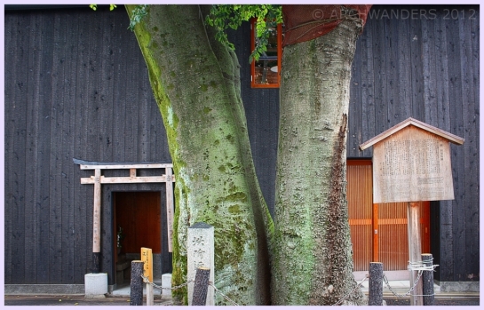 Kyoto Kiya-machi Dori shrine black house3